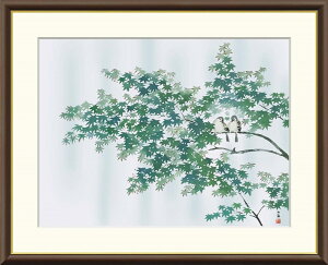 ׃fW^ŉ zG {̖V[Y R (悱 ) u ΉJ v TCY F4 F6 F8