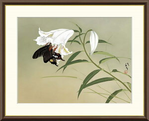 ׃fW^ŉ zG {̖V[Y ьÌa (΂₵) u S v TCY F4 F6 F8