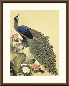 ׃fW^ŉ zG {̖V[Y ~R (܂ ) u OE} v TCY F4 F6 F8