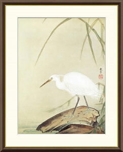 ׃fW^ŉ zG {̖V[Y Hct (Ђ 񂻂) u ɔ v TCY F4 F6 F8