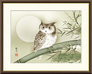 ׃fW^ŉ zG {V[Y `J^ |AAl_Ȃ u |~} v TCY F4 F6 F8