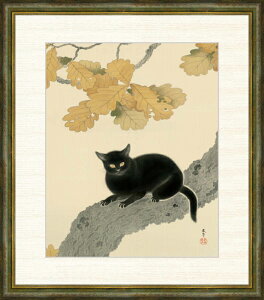 ׃fW^ŉ zG Hct uLv F8