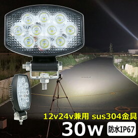 漁船 led ライト LEDワークライト 30W led 作業灯 12v 24v 広角 イカ釣り 集魚灯 バックランプ led作業灯 24v LED サーチライト led作業灯 除雪車 除雪機 トラック 船 デッキライトライト 12v/24v 路肩灯 補助灯 タイヤ灯 投光器 led 屋外 防水 船舶ライト 照明 工事