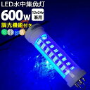 漁船 led ライト しらすうなぎ 集魚灯 LED 水中集魚灯 イカ釣り 12v24v 600w 黄色 ブルー グリーン 白光 ホワイト yel…