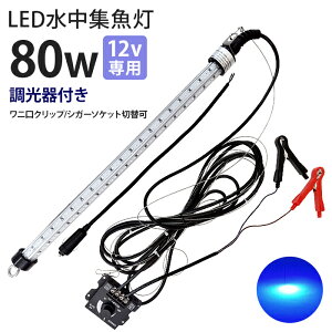 LED W LEDW Cg hނ  12Vp WCg 80w F u[ Cg DCg D ނ ledCg މ VXEiM VEI CJ AW ^`EI AICJ 
