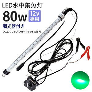 LEDW Cg hނ  12Vp WCg 80w O[ ΃v LED W Cg DCg D ނ ledCg މ VXEiM VEI CJ AW ^`EI AI