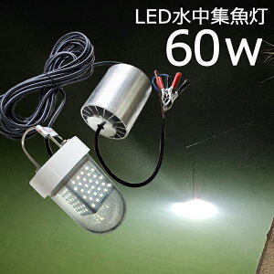 【2個セット】LED 水中集魚灯 白色光 ホワイト 60w 5400lm LED集魚灯 水中ライト 水中灯 12V24v用 集魚ライト ライト 船舶ライト 船舶 釣り ledライト 釣果 シラスウナギ シラウオ イカ アジ タチウオ