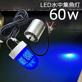 LED 水中集魚灯 LED集魚灯 水中ライト 水中灯【2個セット】青色 ブルー 60w 3000lm 12V24v 集魚ライト ライト 船舶ライト 船舶 釣り ledライト 釣果 シラスウナギ シラウオ イカ アジ タチウオ アオリイカ 夜焚き 堤防釣り 水中イルミネーション