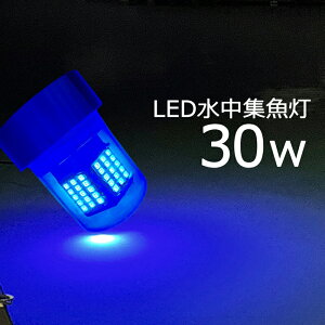 y2Zbgz led W WCg Cg  u[ 30W h led DCg D ނ މ 镰 RpNgD led Cg 炷Ȃ CJނ W12v 24v LEDW D