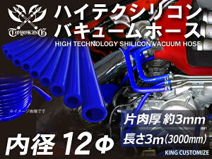 ϔM VR[`[u oL[ z[X a12mm  1m (1000mm) F GT-R RX-7 g^86 DBA-ZN6 DAA-ZF1 E-DC2 E-FD3S ėpi r[e500~N[|v[g