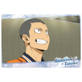 ハイキュー!! ウエハース5 [8.田中龍之介(キャラクターカード2)]【ネコポス配送対応】【C】【カード】