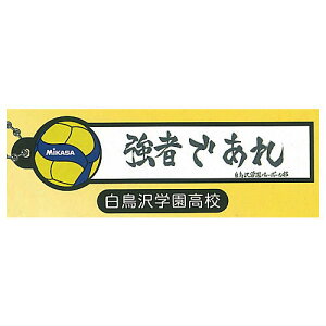 �n�C�L���[!!×MIKASA ���f����V200W���ۑ������������R���{���o�[�L�[�`�F�[�� [4.������w�����Z]�y�l�R�|�X�z���Ή��z�yC�z