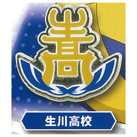 ハイキュー!! 高校モチーフピンバッジ3 全国編 [3.生川高校]【ネコポス配送対応】【C】[sale251222]