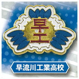 ハイキュー!! 高校モチーフピンバッジ3 全国編 [9.早流川工業高校]【ネコポス配送対応】【C】[sale251222]