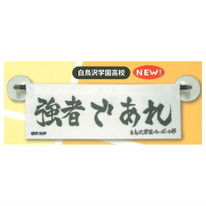 nCL[!! ǂł~jf vol.1.5 [5.wZ]ylR|XzΉzyCz