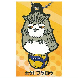 ハイキュー!!×MIKASA キャララバーコレクション2 [7.ボクトフクロウ]【ネコポス配送対応】【C】