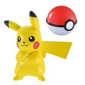 ポケモンゲットコレクションズガム シンカの波動 [1.ピカチュウ]【 ネコポス不可 】