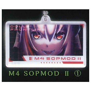 �h�[���Y�t�����g���C�� �A�N�����L�[�`�F�[�� [7.M4 SOPMOD II (1)]�y�l�R�|�X�z���Ή��z�yC�z[sale220803]