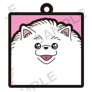 TRi Ɛl̔Ƒ򂳂 Ƒ򂳂񂪂ς!? JvZo[Xgbv [4.|Y]ylR|XzΉzyCz[sale230510]