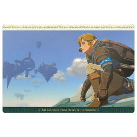ゼルダの伝説 ティアーズ オブ ザ キングダム カードツインウエハース [20.ビジュアルカード]【ネコポス配送対応】【C】【カード】