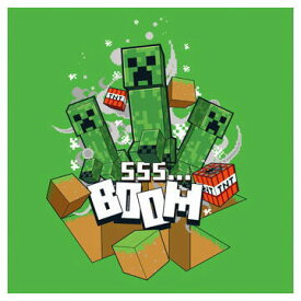 MINECRAFT ツインウエハース [30.CREEPER(レア)]【ネコポス配送対応】【C】【カード】