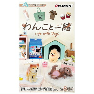 yzySĂ܂!!zՂTvV[Y 񂱂ƈꏏ [S8Zbg(tRv)]y lR|Xs z(RM)