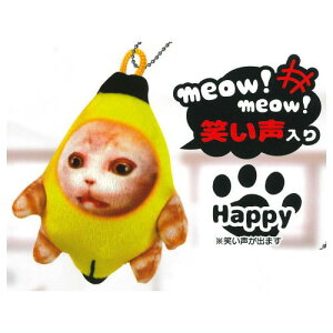 ~joiiL{CX}XRbg [2.Happy (΂)]y lR|Xs zyCz[sale250618]