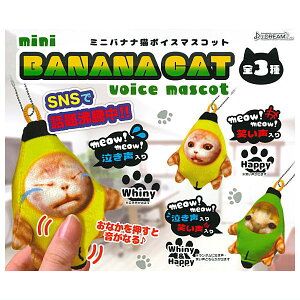 ySĂ܂!!z~joiiL{CX}XRbg [S3Zbg(tRv)]y lR|Xs zyCz[sale250618]