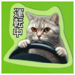 L~[ \tgڈ`[ [2.^]]ylR|XzΉzyCz