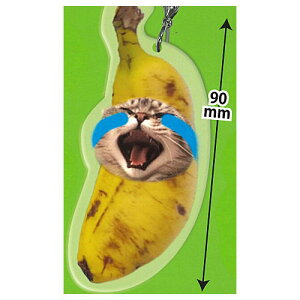 L~[ \tgڈ`[ [6.oii]ylR|XzΉzyCz