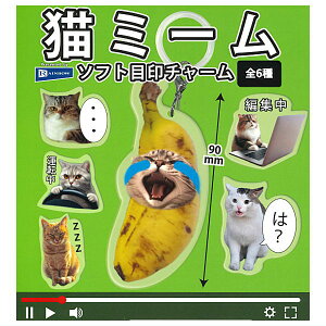 ySĂ܂!!zL~[ \tgڈ`[ [S6Zbg(tRv)]ylR|XzΉzyCz