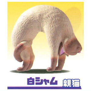 LubW2 LwƌɂႢ [3.V(eL)]ylR|XzΉzyCz