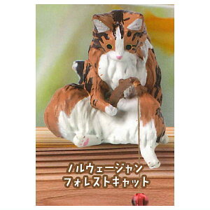 ނa L̂Ђ܂Ԃ [1.mEF[WtHXgLbg]ylR|XzΉzyCz