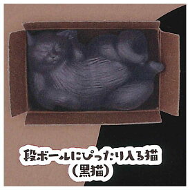 猫は液体 [6.ダンボールにぴったり入る猫(黒猫)]【 ネコポス不可 】