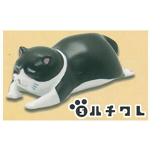 sOiL [5.n`]ylR|XzΉzyCz