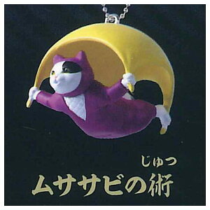 EL E@(ɂۂ)ZZ̏p [5.TTȑp]y lR|Xs zyCz