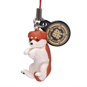 Čt [6.݂ݐԎ]ylR|XzΉzyCz[sale250514]