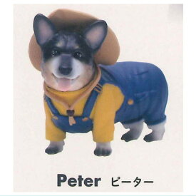 Only Wan オンリーワン！ Vol 04 [1.ピーター Peter (コーギー)]【 ネコポス不可 】【C】