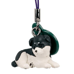 Čt2 [2.͂悤]ylR|XzΉzyCz