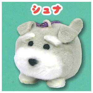 Viƃ{u ʂ [1.Vi]y lR|Xs zyCz