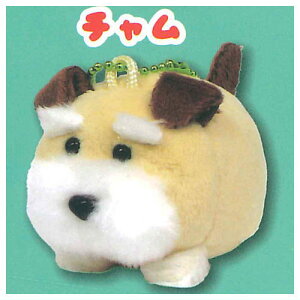 Viƃ{u ʂ [3.`]y lR|Xs zyCz