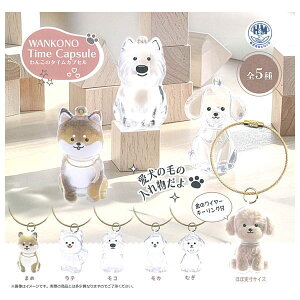 ySĂ܂!!z񂱂̃^CJvZ [S5Zbg(tRv)]ylR|XzΉzyCz