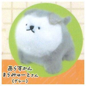 Ă̂ЂTCY̑^ps[ ʂ [3.炷܂݂[Ƃ(O[)]y lR|Xs zyCz