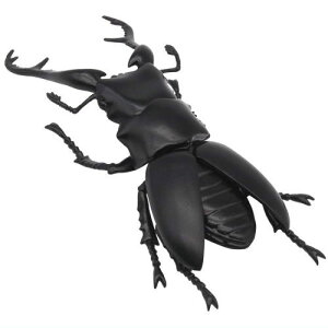 ׂ鐶tBMAV[Y ̐X ĝȂ [2.Mt@mRMNK^]ylR|XzΉzyCz[sale250612]