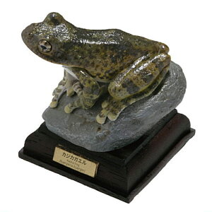 lC`[eNjJ[ {̃JG  [3.JWJKG]y lR|Xs z[sale250618]