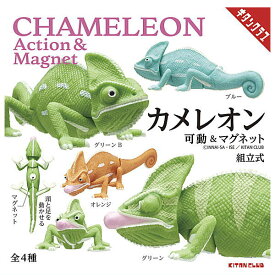 【全部揃ってます!!】カメレオン 可動＆マグネット [全4種セット(フルコンプ)]【 ネコポス不可 】【C】