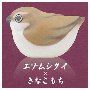 aَqƂ }XRbgtBMA [2.G]VNC×Ȃ]ylR|XzΉzyCz