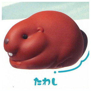 Ղ r[o[ [3.킵]y lR|Xs zyCz