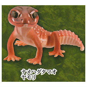 JvZQ S GNXgJ[Ver. [4.in_^}I]ylR|XzΉzyCz