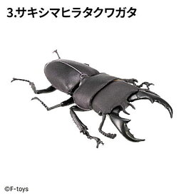 昆虫ハンター カブトムシ×クワガタ 2025 [3.サキシマヒラタクワガタ]【 ネコポス不可 】